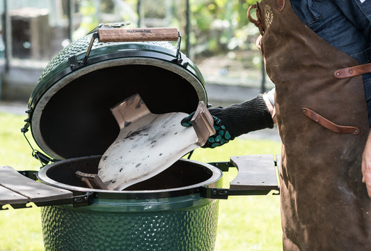 Conveggtor going into the egg image